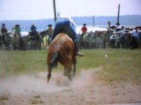 /album/galeria-de-fotos/pedro-henrique-064-jpg/